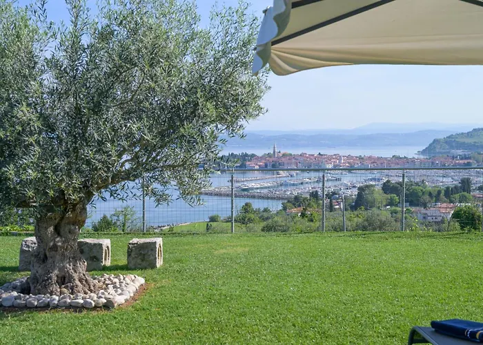 Apartma Bellavista